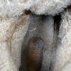 Gucci X Sega Suede Leather Shearling Hiking Sneakers 9 Fur Calfskin Flashtrek