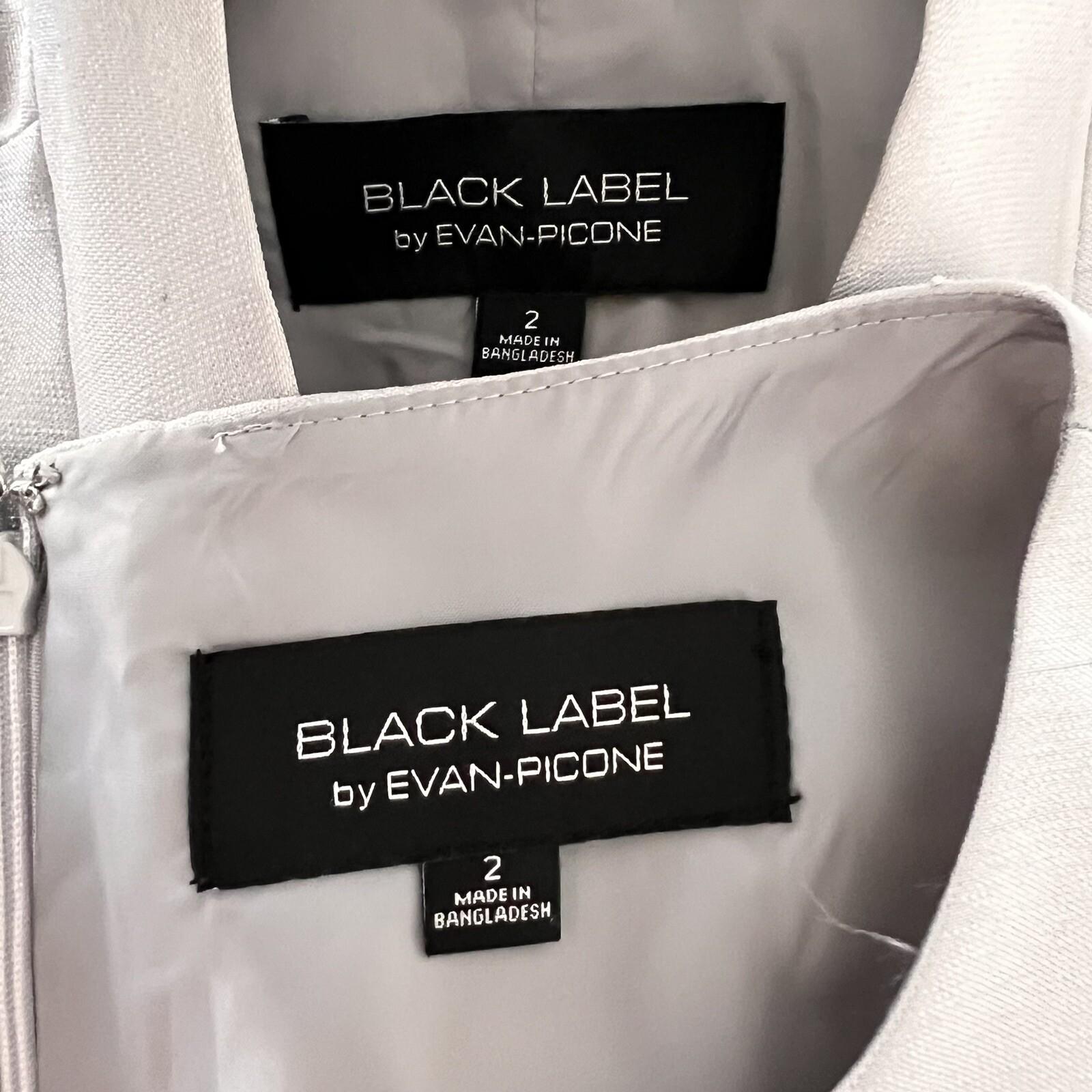 EVAN PICONE BLACK LABEL 2PC Silver Polyester Stand Up Collar Dress Suit Size 2