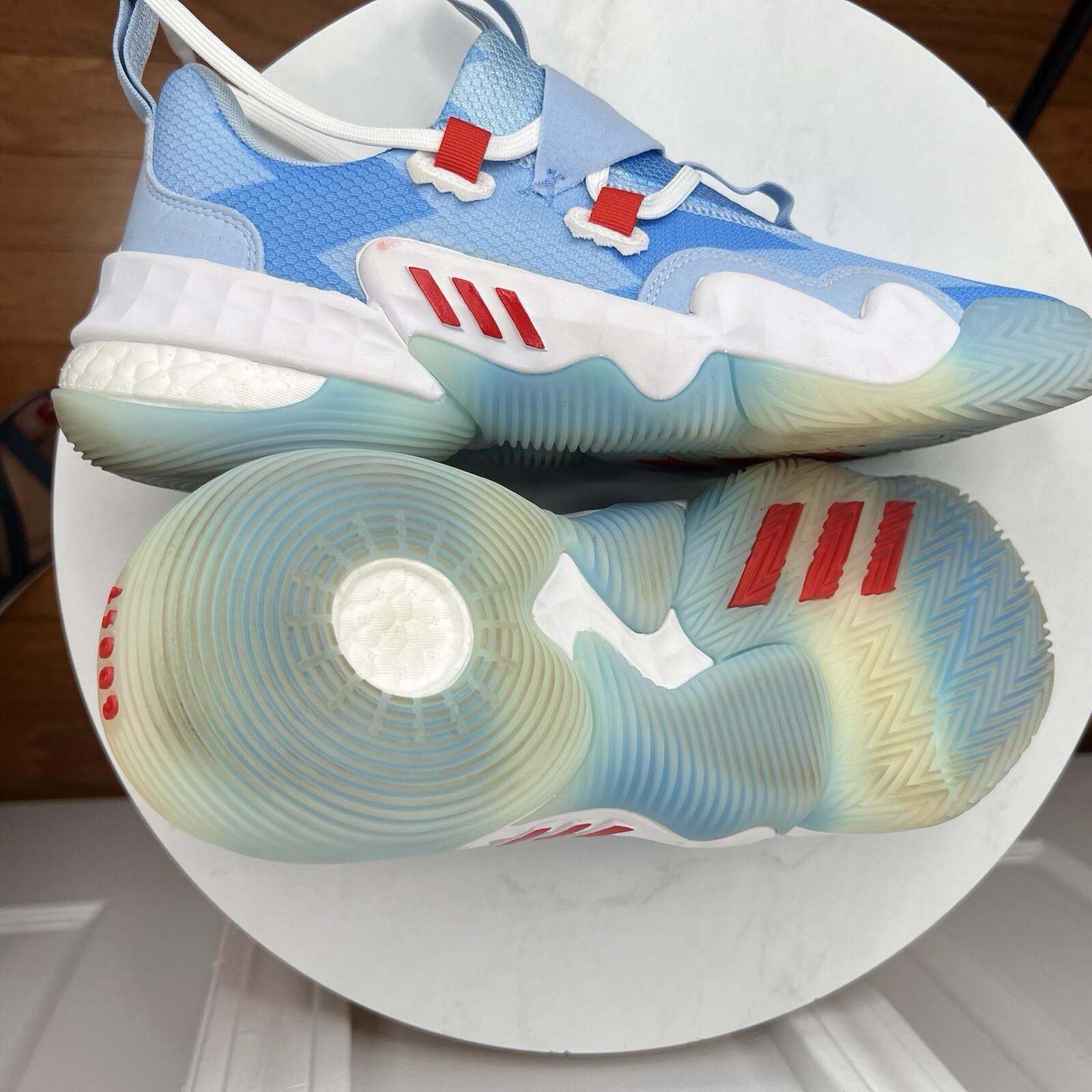 Adidas Trae Young Ice 10 Polar Bear 2021 Signature Series Basketball Sneakers