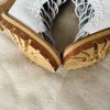 Jeffrey Campbell x Free people Palermo Leather Booties 8.5M Lace Up Open Toe New